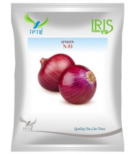 Onion OP Iris N-53 - 50 grams